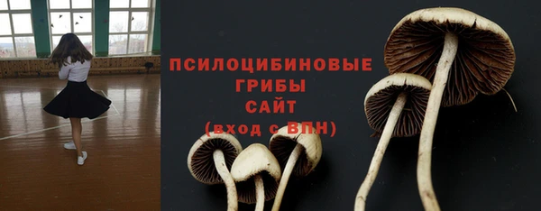 гидра Армянск