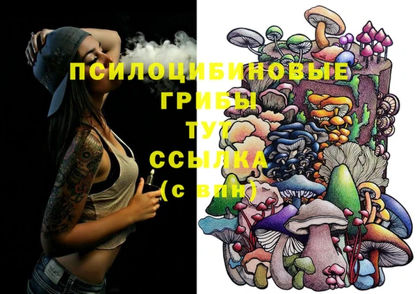 тгк Балахна